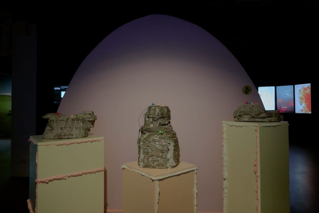 Работа Plastico Ammonitico на выставке «Когда деревья были аналоговыми».