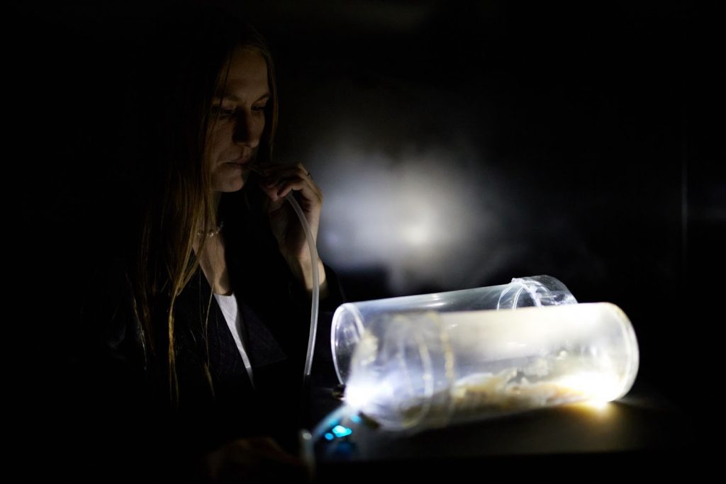 Аппарат биохимической коммуникации