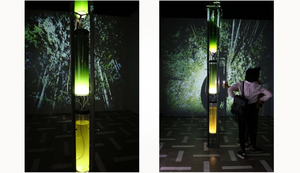 Инсталляция предполагает элемент интерактивности