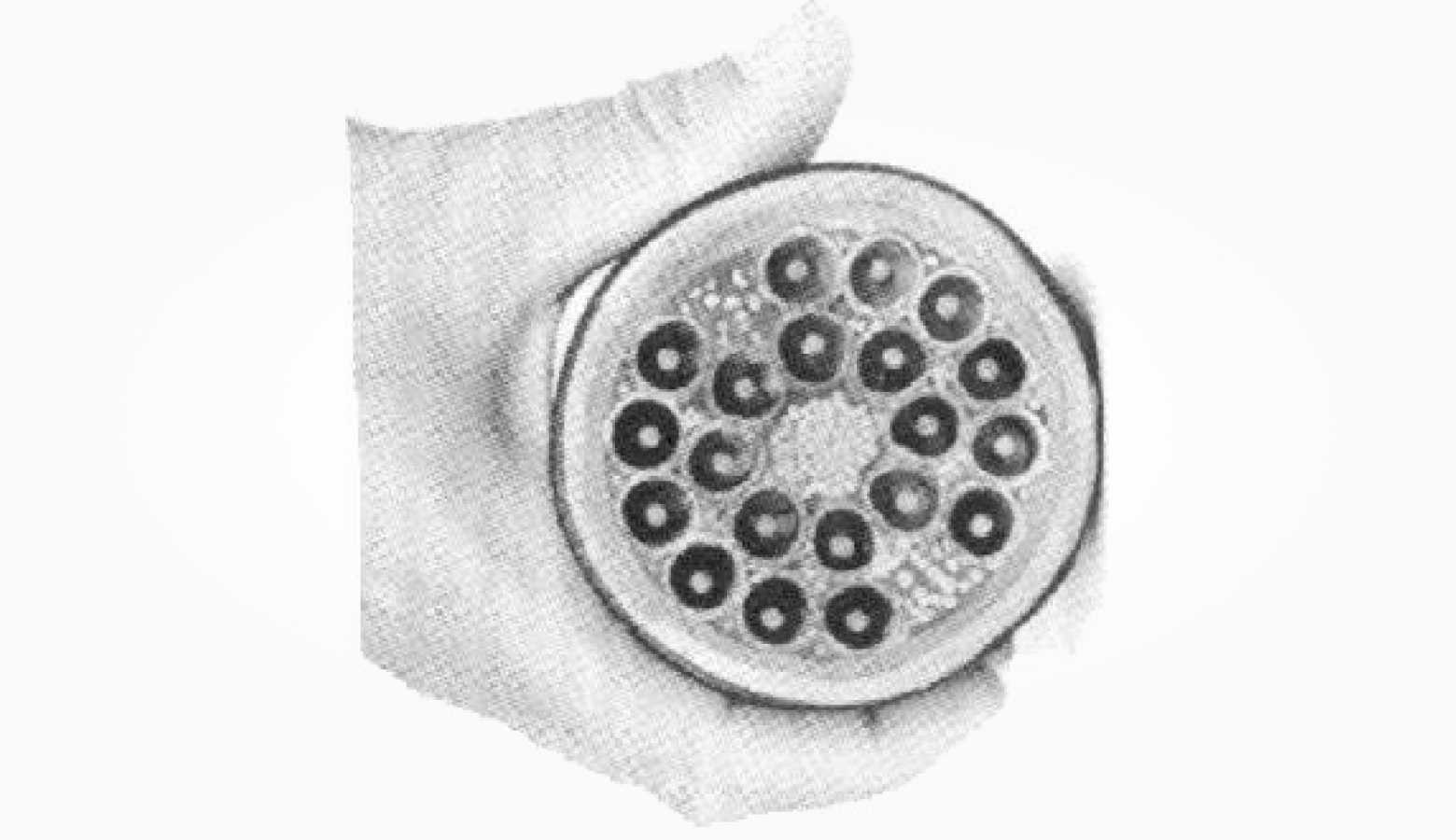 многотрубчатый коаксиальный кабель