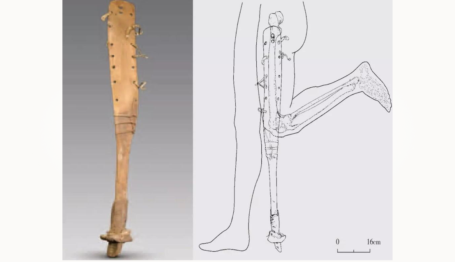 Образец «Турпанской ноги»: музейная реконструкция. 